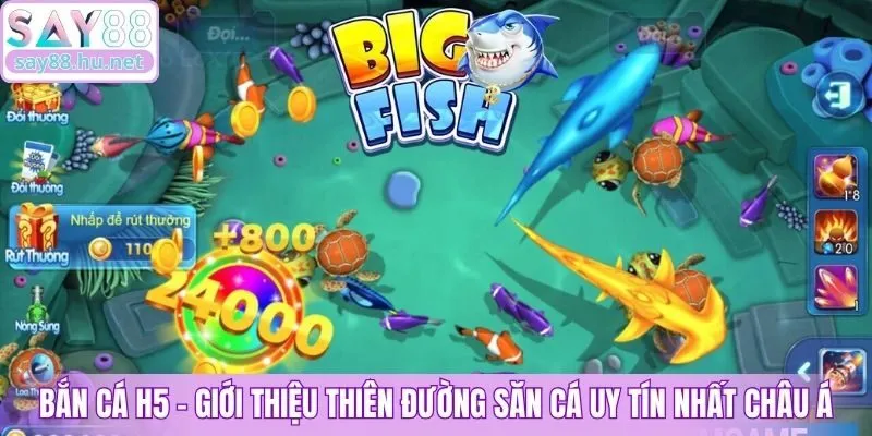 Bắn Cá H5 - Giới thiệu thiên đường săn cá uy tín nhất Châu Á