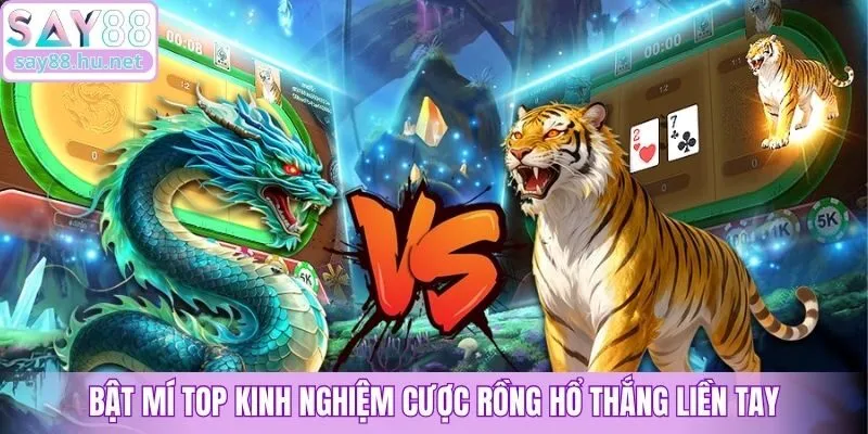 Bật mí top kinh nghiệm cược Rồng Hổ thắng liền tay