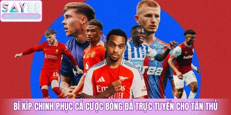 Bí kíp chinh phục cá cược bóng đá trực tuyến cho tân thủ