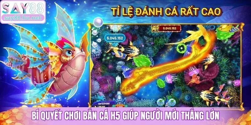 Bí quyết chơi Bắn Cá H5 giúp người mới thắng lớn