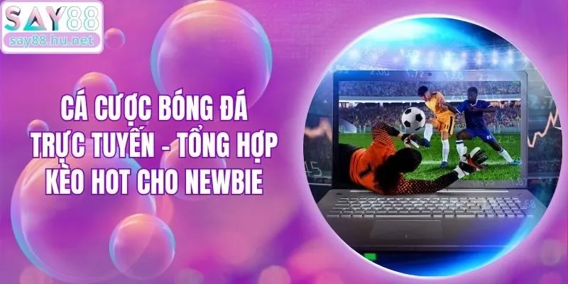 Cá Cược Bóng Đá Trực Tuyến - Tổng Hợp Kèo Hot Cho Newbie