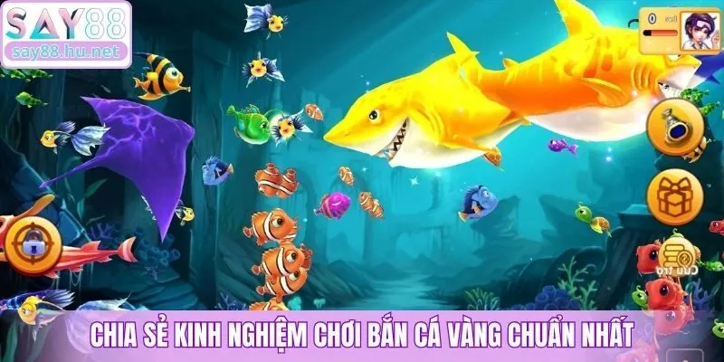 Chia sẻ kinh nghiệm chơi bắn cá vàng chuẩn nhất