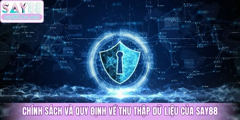 Chính sách và quy định về thu thập dữ liệu của Say88