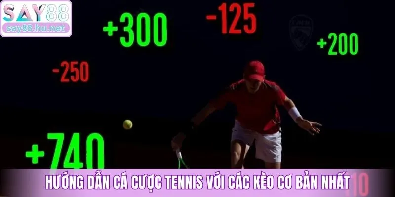 Hướng dẫn cá cược Tennis với các kèo cơ bản nhất