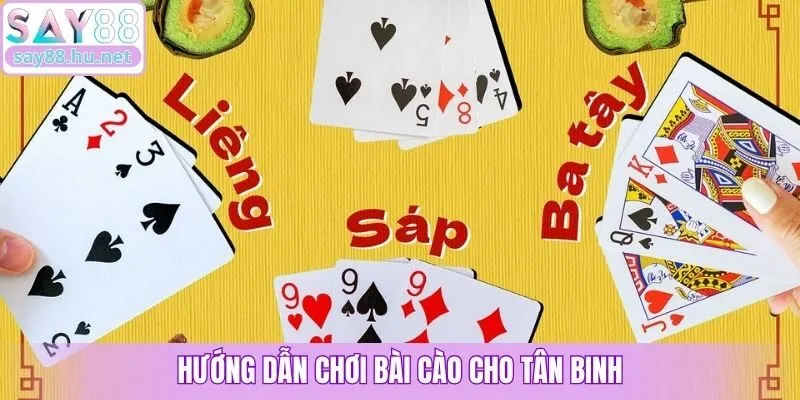 Hướng dẫn chơi bài cào cho tân binh