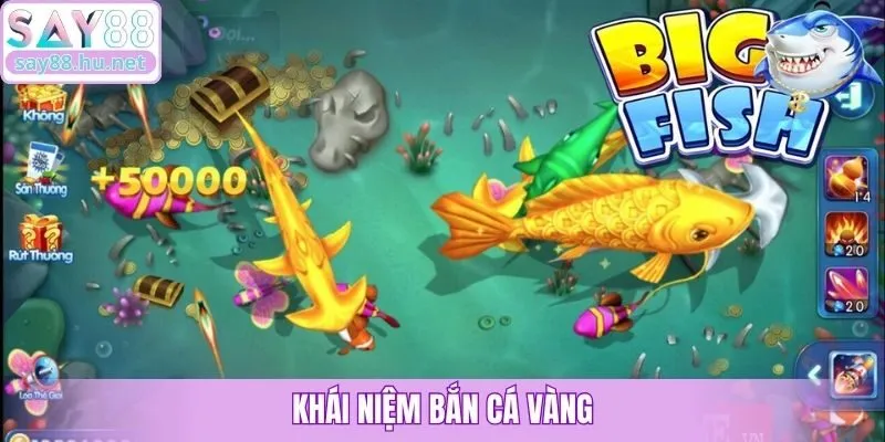 Khái niệm bắn cá vàng