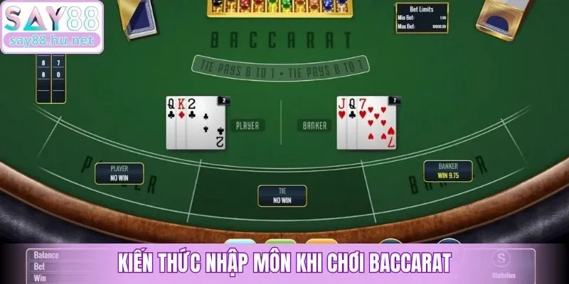 Kiến thức nhập môn khi chơi Baccarat
