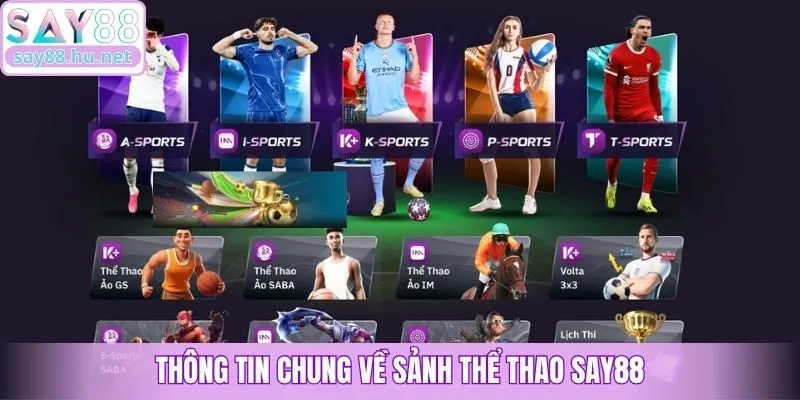 Thông tin chung về sảnh thể thao Say88