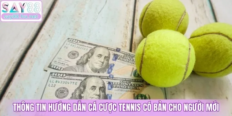 Thông tin hướng dẫn cá cược tennis cơ bản cho người mới