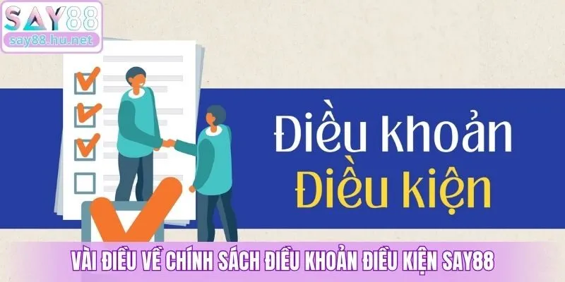 Vài điều về chính sách điều khoản điều kiện Say88